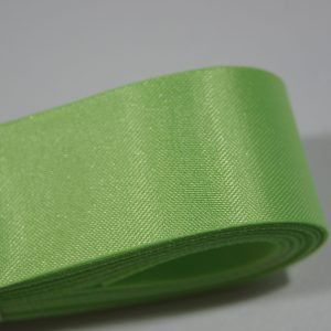 E10-1016 Apple green biodegradable ribbon 24mm 10m-1