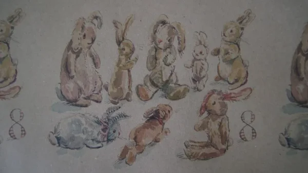 8 Rabbits 6