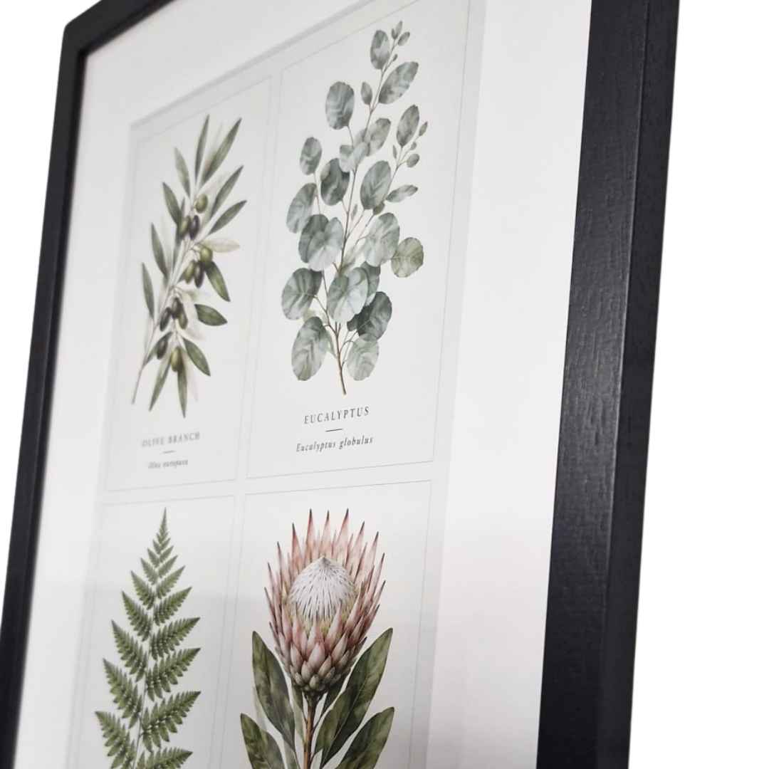 Botanical Collection Wall Art Print - Image 2
