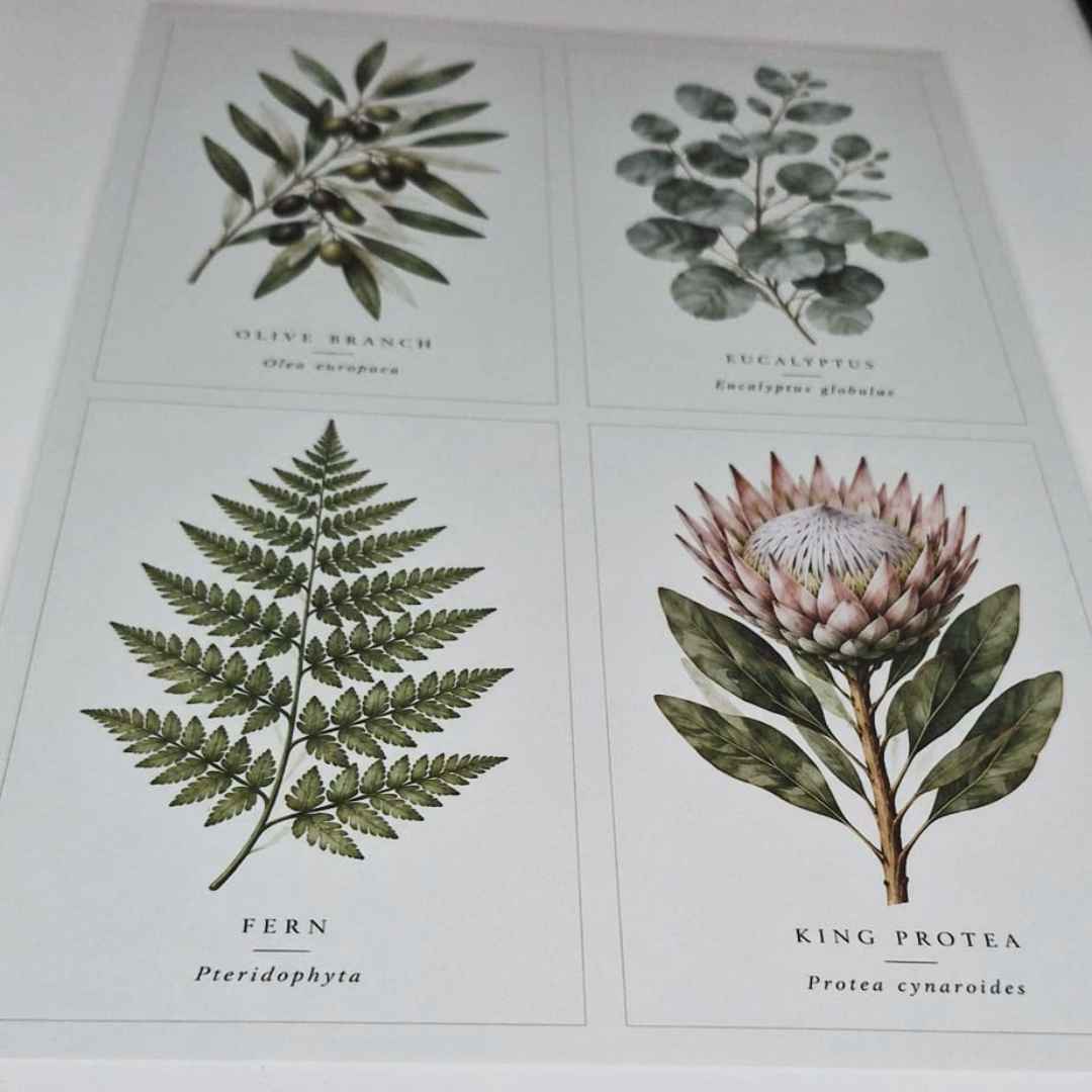 Botanical Collection Wall Art Print - Image 3