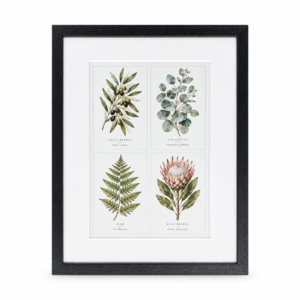 Botanical Collection Wall Art Print