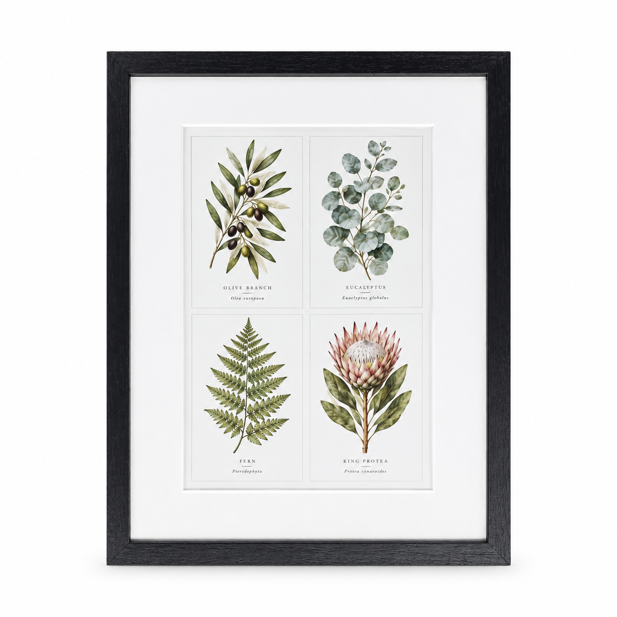 Botanical Collection Wall Art Print